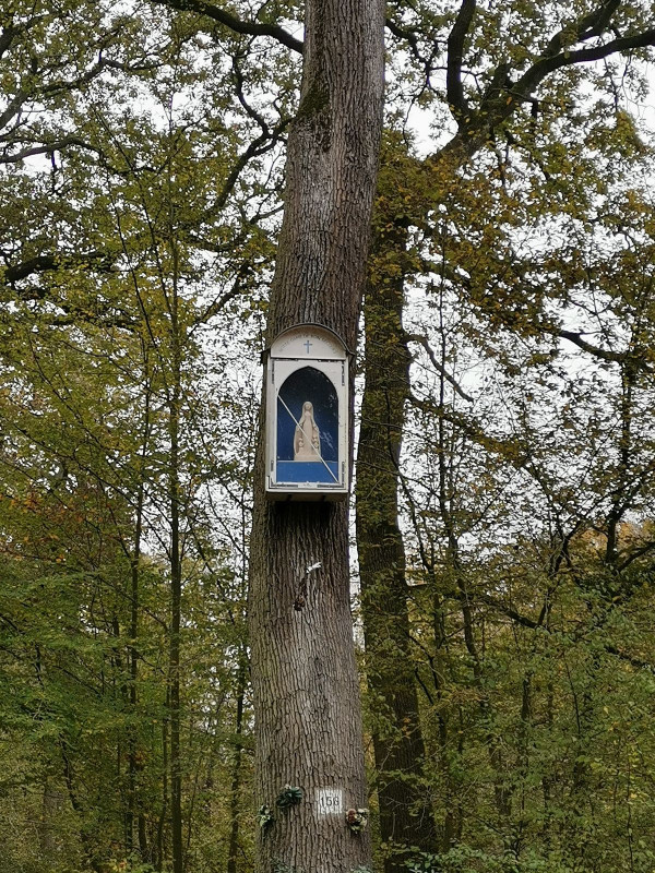 2025_Oratoire_St_Germain